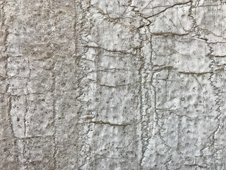 Background of old marble. Italian style. Texture