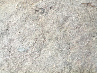 cement texture background 
