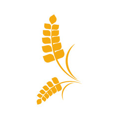 Agriculture Wheat logo template vector, Luxury Wheat Logo Concept, Icon Symbol