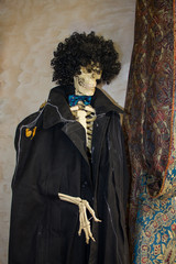 skeleton in a coat and wig. halloween decoration