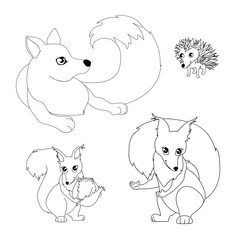  Fox, hedgehog and squirrels