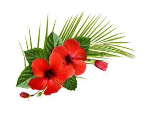Red hibiscus flowers, buds and green leaves in a tropical corner arrangement