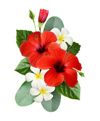 Red hibiscus and fragipani flowers with green leaves in a tropical arrangement - obrazy, fototapety, plakaty