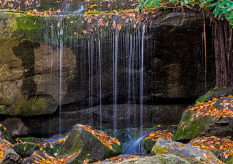 In fall, a waterfall slowly trickles over a boulder in the Smokies. - 306932737