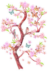Obraz premium flowering tree of cherry with sitting couple of birds on branches and flying butterflies around. watercolor painting