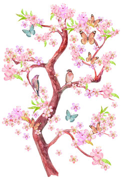 flowering tree of cherry with sitting couple of birds on branches and flying butterflies around. watercolor painting
