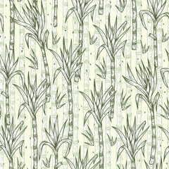 Hand Drawn Sugarcane Plants Vector Seamless Pattern. Sugar cane stalks with leaves endless background