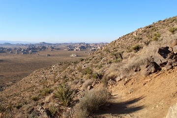 A physically challenging endeavor, Ryan Mountain Trail is three miles out and back in the Southern Mojave Desert of Joshua Tree National Park.