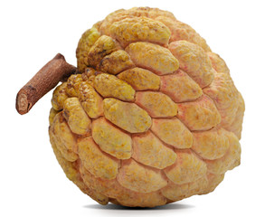 custard apple fruit isolated on white background