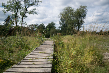 High Fens, Hautes Fagnes, at the eifel national park