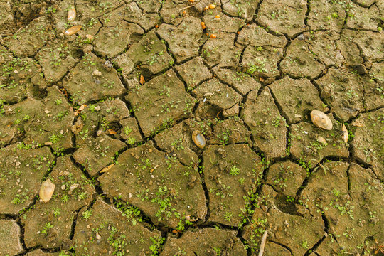 Lake bottom in time of drought