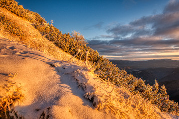 grass with frosty snow in the morning at sunrise , slovakia