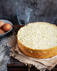 Poppy seed sponge cake on grey background