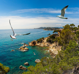 Fototapeta premium Coastline of spanish resort Lloret de Mar on the Costa Brava.