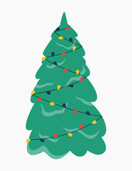 Green fir for christmas and new year celebration