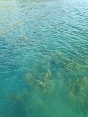 Fototapeta na wymiar Surface of blue water