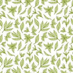 Hand drawn engraving style Green tea leaves Seamless pattern. Vector illustration