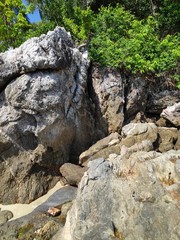 Rocks
