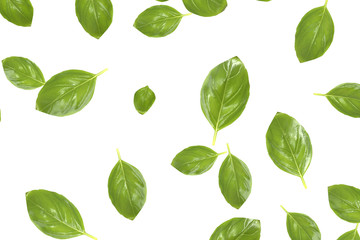 Basil leaves falling down with white background