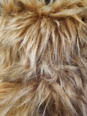 Texture of fur
