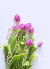 Bouquet of lilac tulips on a white background. March 8. Mothers Day. Valentine's Day. Thanksgiving Day. Sign of gratitude. Spring flowers.