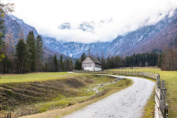 Robanov kot © Avsec