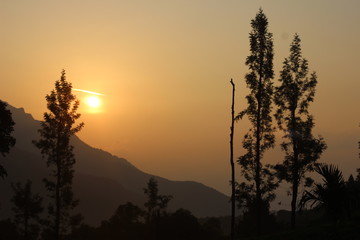 Obraz premium sunset in forest