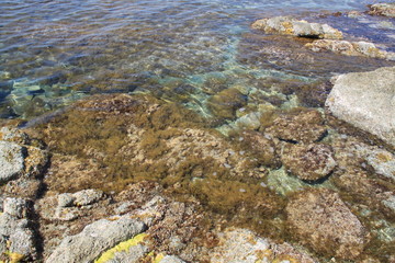 Plage de Saleccia
