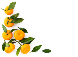 Ripe tangerines with leaves on a white background, space for text. The view of top.