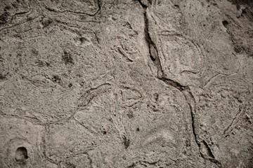 Old concrete wall, seamless texture background photo, ancient