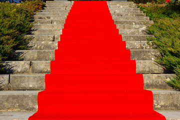 Red carpet