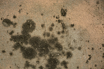 Old concrete wall, seamless texture background photo, ancient