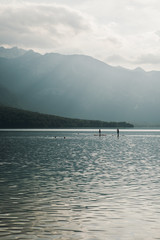 Obraz premium silhouette of couple paddle boarding on Bohinj lake, Slovenia. Two people on Stand Up Paddle Board in the middle of lake. Mountains in the background. Branches in the foreground. Selective focus