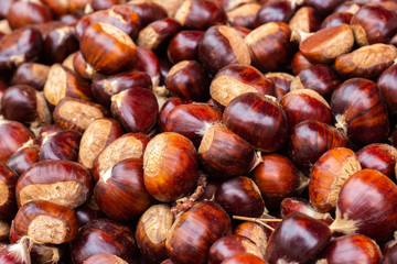 Heap of ripe raw chestnuts closeup, selective fokus.