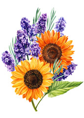 bouquets of lavender, sunflowers  flowers on an isolated white background, botanical painting, watercolor illustration, hand drawing