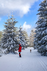 Attraktive Frau und Jagdhund bei einem Spaziergang im verschneiten Winterwald