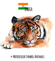Watercolor tiger on the white background. India symbol
