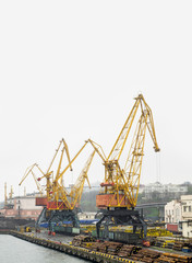 Landscape of cargo terminal in Odessa port - portal cranes on a pier are loading of coal, pipes and metal, isolated on white. Freight transportation and export products of heavy industry from Ukraine.