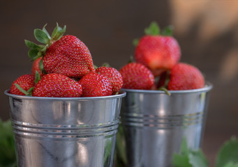 fresh strawberries closeup. harvest ripe strawberries in buckets closeup.