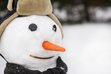 snowman in the snow