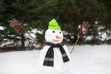 snowman in the snow