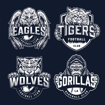 Baseball and football teams sport logos