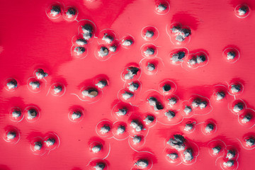 Red iron shield shot by shotgun. The background.