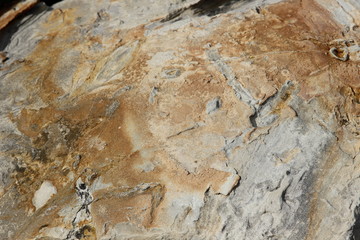 texture of stone