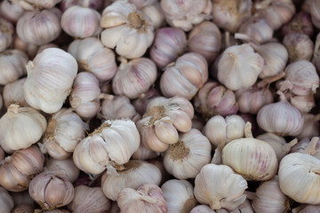 Close up of garlic bulb and cloves on wooden surface