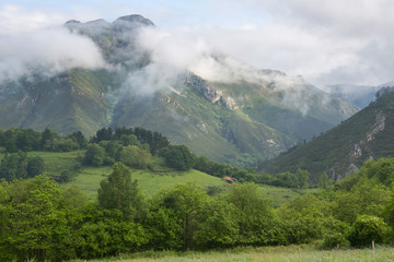 Obraz premium Picos de Europa