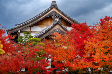 Naklejka premium Eikando temple foliage in Kyoto, Japan.