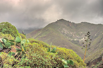 Anaga Mountains, Tenerife