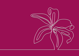 Obraz premium beautiful flower-continuous line drawing