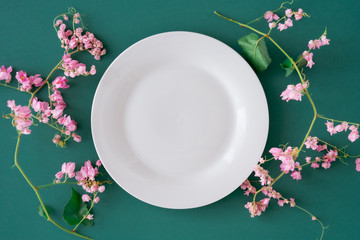 White empty plate on plain green table background surrounded by beautiful pink floral and fresh green petal flat lay, Top view on blank porcelain dish bordered with pink flowers and free copy space.